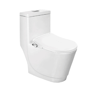 Picture of Bidspa Rimless Single Piece WC