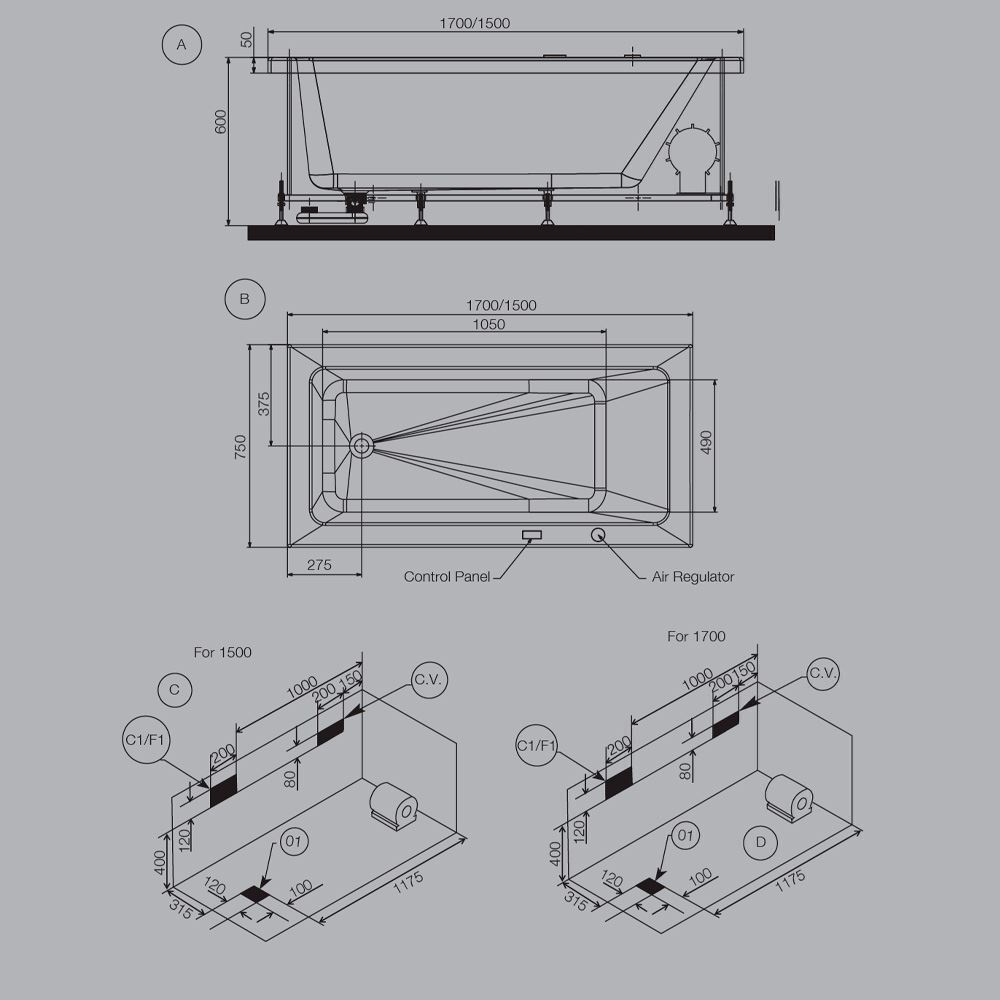 2D Image