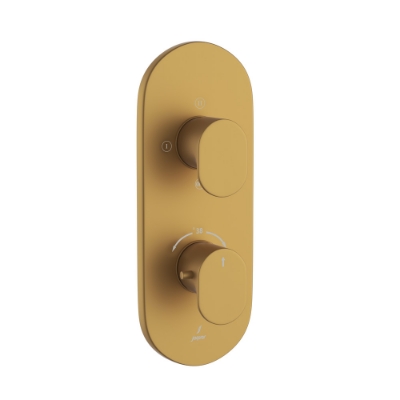Picture of Aquamax Thermostatic Shower Mixer - Gold Matt PVD