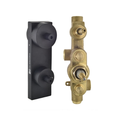 Picture of 자동 온도 조절식 샤워 믹서의 Aquamax 인월 바디