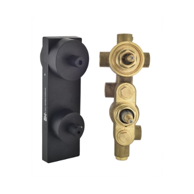 Picture of Aquamax In-wall Body of Thermostatic Shower Mixer