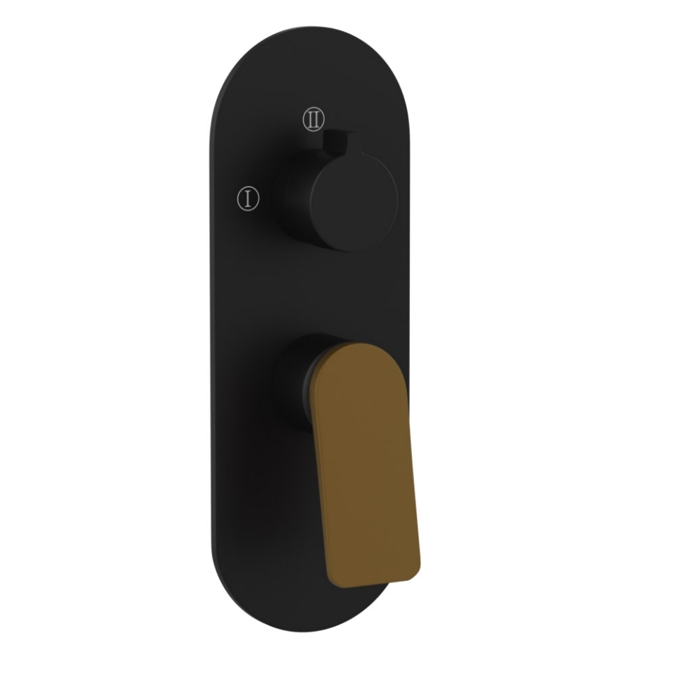 Picture of Aquamax Exposed Part Kit of Single Lever Shower Mixer - Lever: Gold Matt PVD | Body: Black Matt 