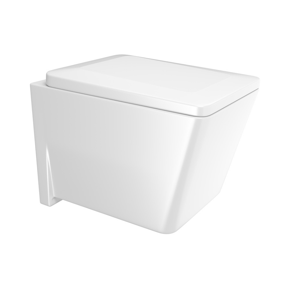 Picture of Rimless Blind Installation Wall Hung WC