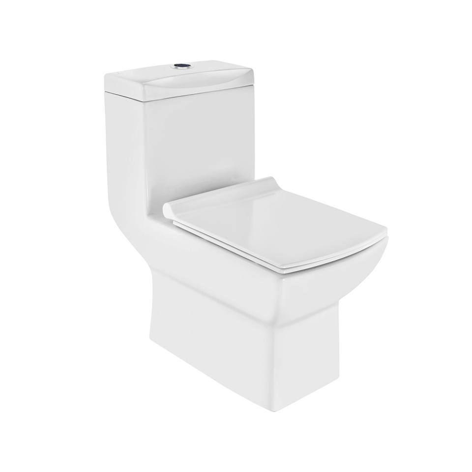Picture of Single Piece-WC