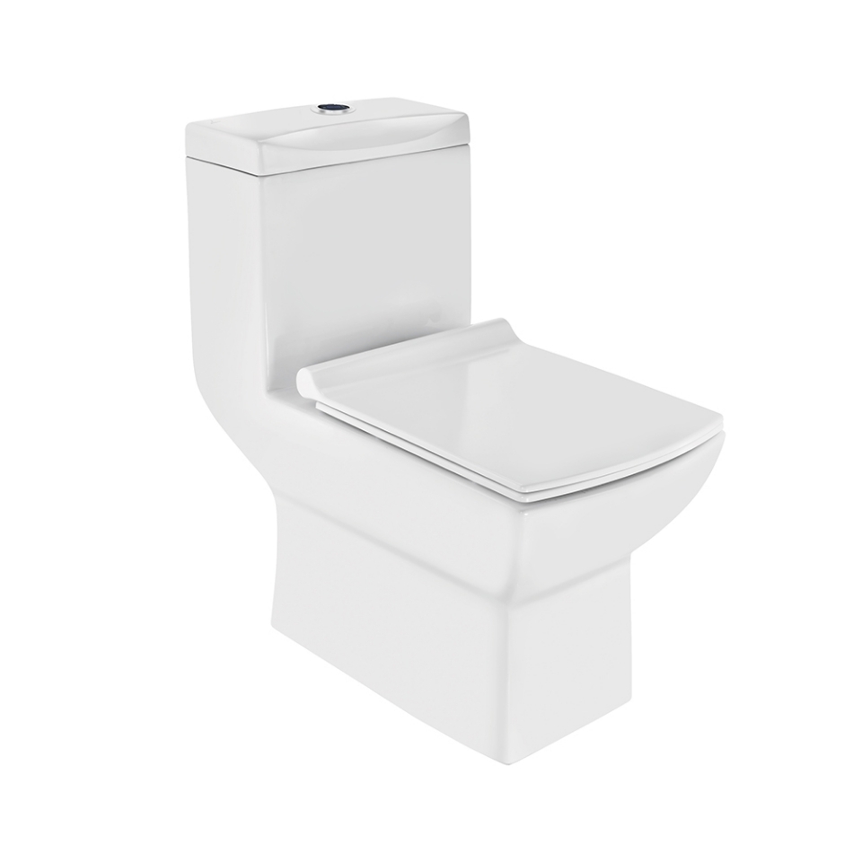 Picture of Single Piece-WC