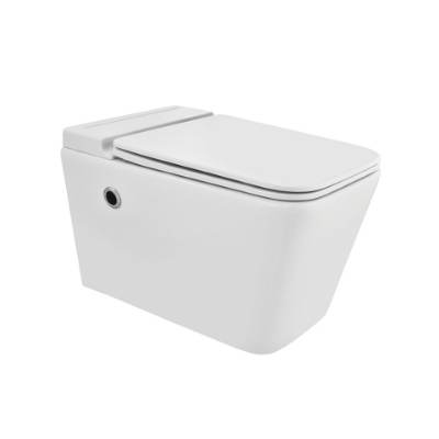 Picture of 벽에 걸린 양변기