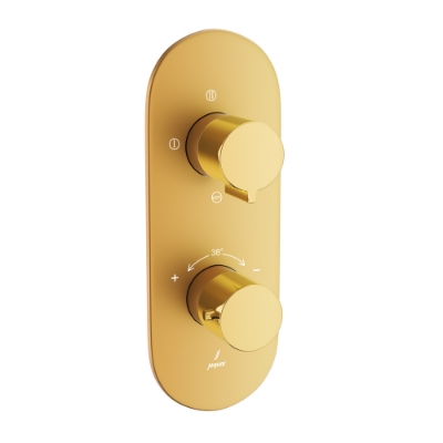 Picture of Aquamax Thermostatic Shower Mixer - Lever: Gold Bright PVD | Body: Gold Matt PVD 
