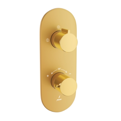 Picture of Aquamax Thermostatic Shower Mixer - Lever: Gold Bright PVD | Body: Gold Matt PVD 